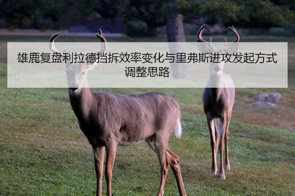 雄鹿复盘利拉德挡拆效率变化与里弗斯进攻发起方式调整思路